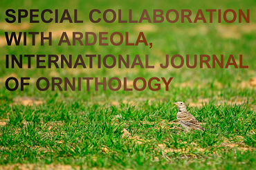 INTERNATIONAL CONFERENCE ON PALEARCTIC STEPPE BIRDS - Exciting Collaboration with Ardeola